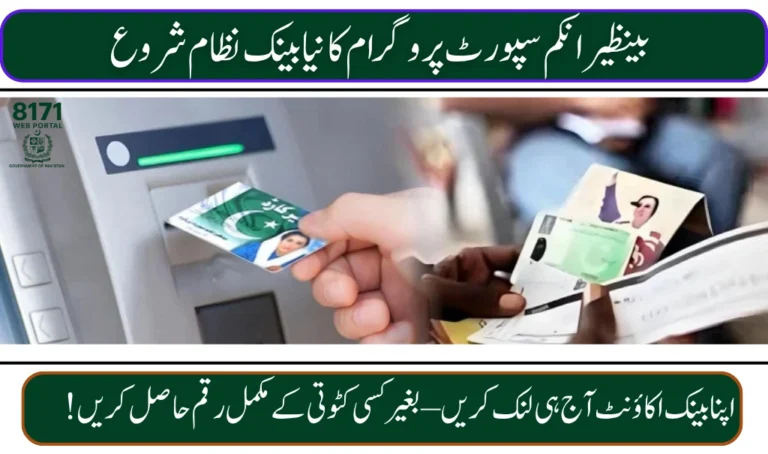 BISP 8171 New Bank Payment System