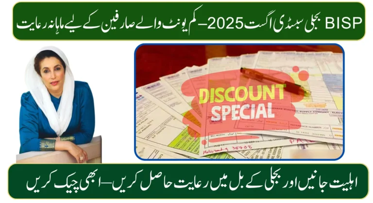 BISP Electricity Subsidy August 2025