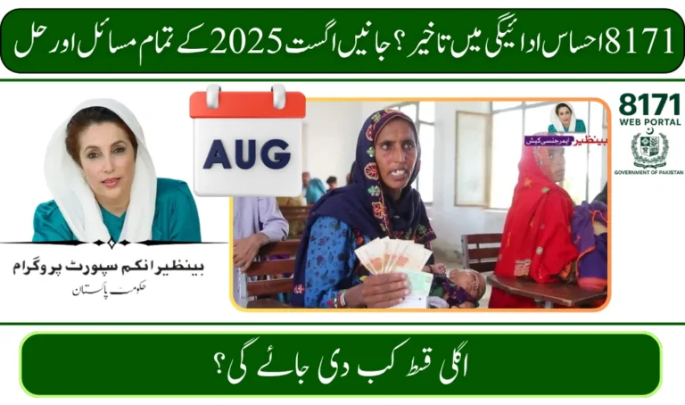 How to Fix 8171 Ehsaas Program Payment Issues in August 2025 – Complete Guide